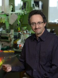 Joel L Pomerantz