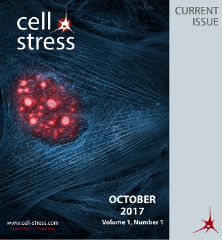 A game of substrates: replication fork remodeling and its roles in genome stability and chemo-resistance